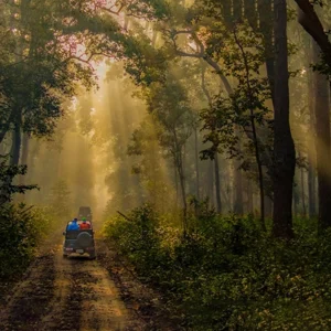 Wild Jim Corbett Safari Packages – 5 Days / 4 Nights
